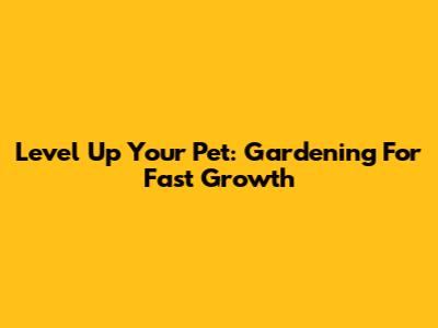 Level Up Your Pet: Gardening For Fast Growth