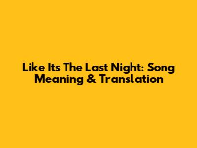 Like It's The Last Night: Song Meaning & Translation