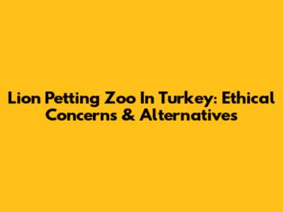 Lion Petting Zoo In Turkey: Ethical Concerns & Alternatives