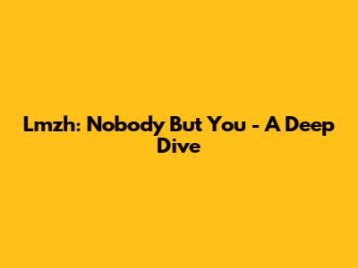 Lmzh: Nobody But You - A Deep Dive