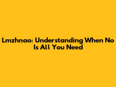 Lmzhnao: Understanding When 'No' Is All You Need