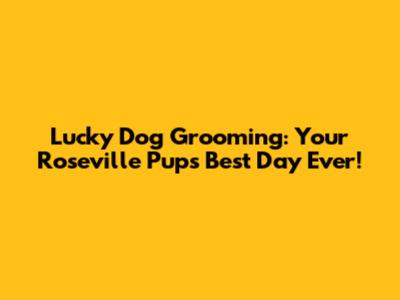 Lucky Dog Grooming: Your Roseville Pup's Best Day Ever!
