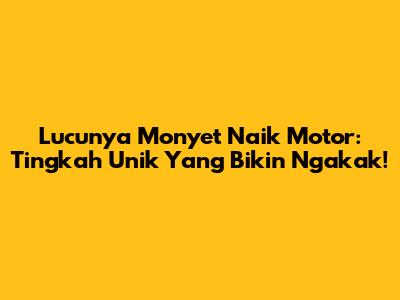 Lucunya Monyet Naik Motor: Tingkah Unik Yang Bikin Ngakak!