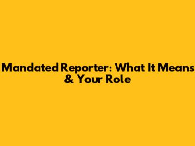 Mandated Reporter: What It Means & Your Role