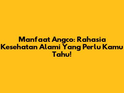 Manfaat Angco: Rahasia Kesehatan Alami Yang Perlu Kamu Tahu!
