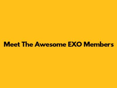 Meet The Awesome EXO Members