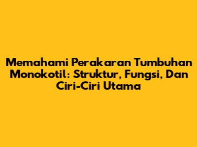 Memahami Perakaran Tumbuhan Monokotil: Struktur, Fungsi, Dan Ciri-Ciri Utama