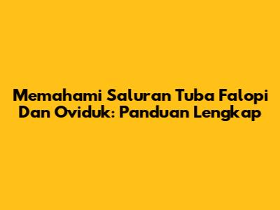 Memahami Saluran Tuba Falopi Dan Oviduk: Panduan Lengkap