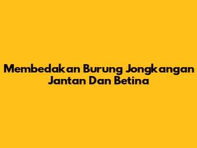 Membedakan Burung Jongkangan Jantan Dan Betina