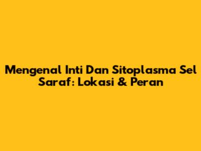 Mengenal Inti Dan Sitoplasma Sel Saraf: Lokasi & Peran