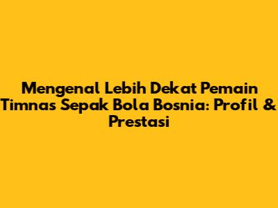 Mengenal Lebih Dekat Pemain Timnas Sepak Bola Bosnia: Profil & Prestasi