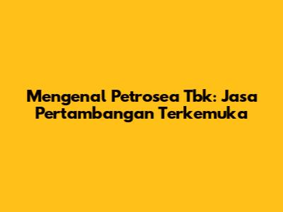 Mengenal Petrosea Tbk: Jasa Pertambangan Terkemuka