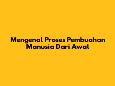 Mengenal Proses Pembuahan Manusia Dari Awal
