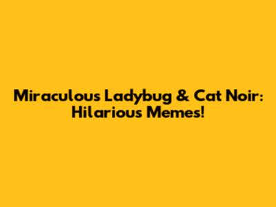 Miraculous Ladybug & Cat Noir: Hilarious Memes!