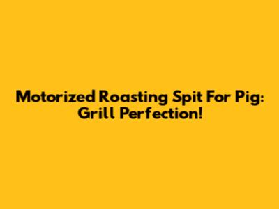 Motorized Roasting Spit For Pig: Grill Perfection!