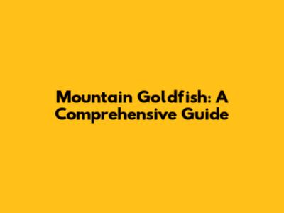 Mountain Goldfish: A Comprehensive Guide
