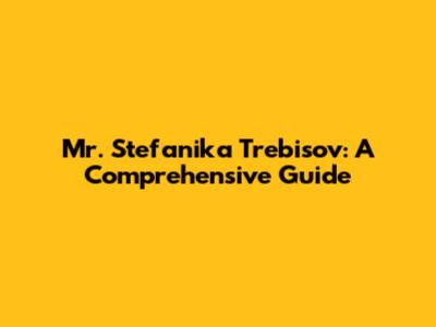 Mr. Stefanika Trebisov: A Comprehensive Guide