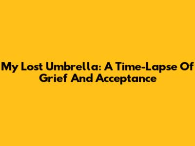 My Lost Umbrella: A Time-Lapse Of Grief And Acceptance