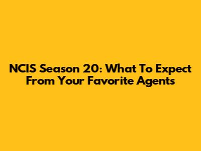 NCIS Season 20: What To Expect From Your Favorite Agents