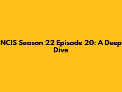 NCIS Season 22 Episode 20: A Deep Dive