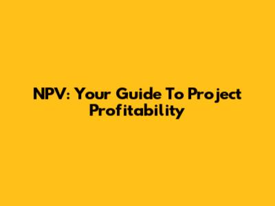NPV: Your Guide To Project Profitability