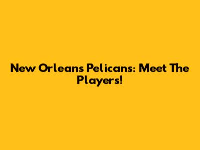New Orleans Pelicans: Meet The Players!