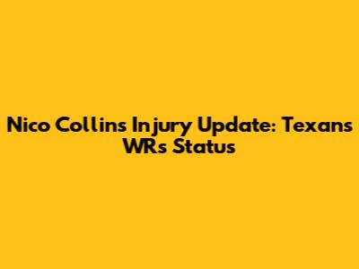 Nico Collins Injury Update: Texans WR's Status