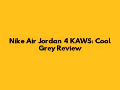 Nike Air Jordan 4 KAWS: Cool Grey Review