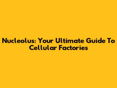 Nucleolus: Your Ultimate Guide To Cellular Factories