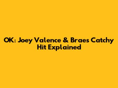 OK: Joey Valence & Brae's Catchy Hit Explained