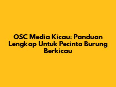 OSC Media Kicau: Panduan Lengkap Untuk Pecinta Burung Berkicau