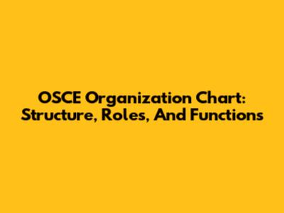 OSCE Organization Chart: Structure, Roles, And Functions