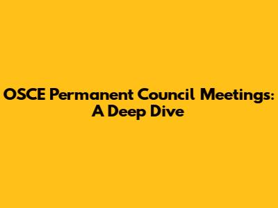 OSCE Permanent Council Meetings: A Deep Dive