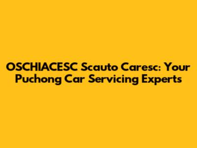 OSCHIACESC Scauto Caresc: Your Puchong Car Servicing Experts