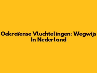 Oekraïense Vluchtelingen: Wegwijs In Nederland