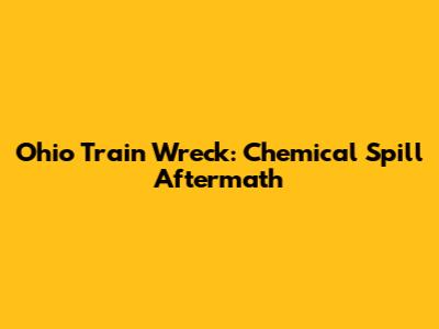Ohio Train Wreck: Chemical Spill Aftermath