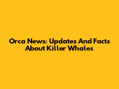 Orca News: Updates And Facts About Killer Whales