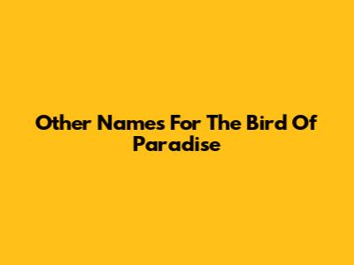 Other Names For The Bird Of Paradise