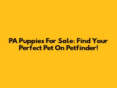 PA Puppies For Sale: Find Your Perfect Pet On Petfinder!