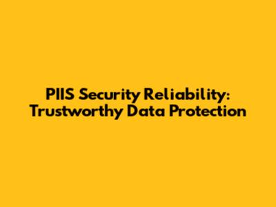 PIIS Security Reliability: Trustworthy Data Protection
