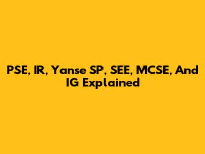 PSE, IR, Yanse SP, SEE, MCSE, And IG Explained