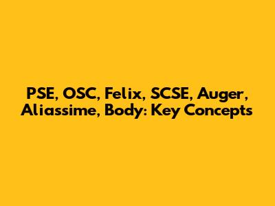 PSE, OSC, Felix, SCSE, Auger, Aliassime, Body: Key Concepts