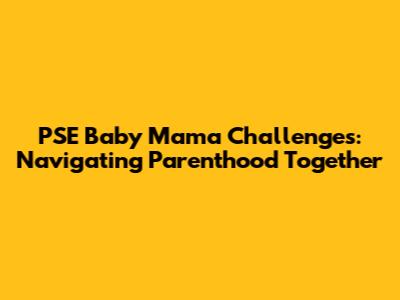 PSE Baby Mama Challenges: Navigating Parenthood Together