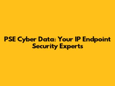 PSE Cyber Data: Your IP Endpoint Security Experts