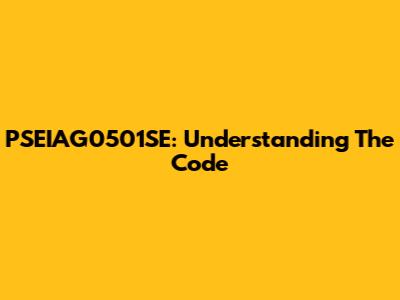 PSEIAG0501SE: Understanding The Code
