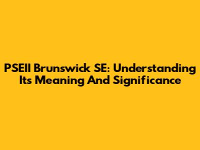PSEII Brunswick SE: Understanding Its Meaning And Significance