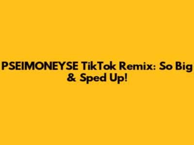 PSEIMONEYSE TikTok Remix: So Big & Sped Up!