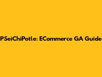 PSeiChiPotle: ECommerce GA Guide