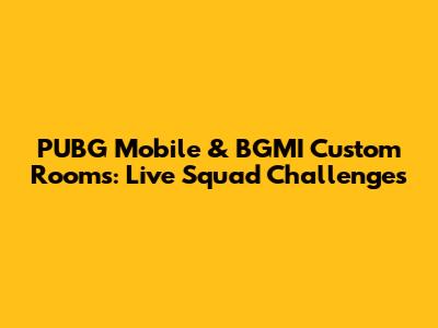 PUBG Mobile & BGMI Custom Rooms: Live Squad Challenges
