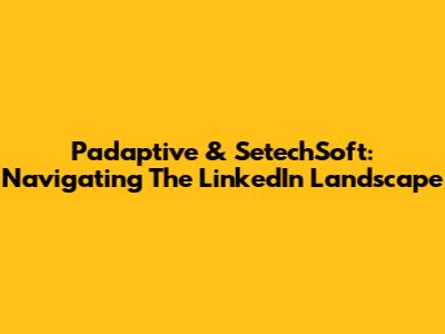 Padaptive & SetechSoft: Navigating The LinkedIn Landscape